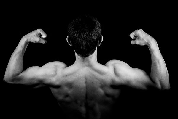 CBD for Muscle Recovery